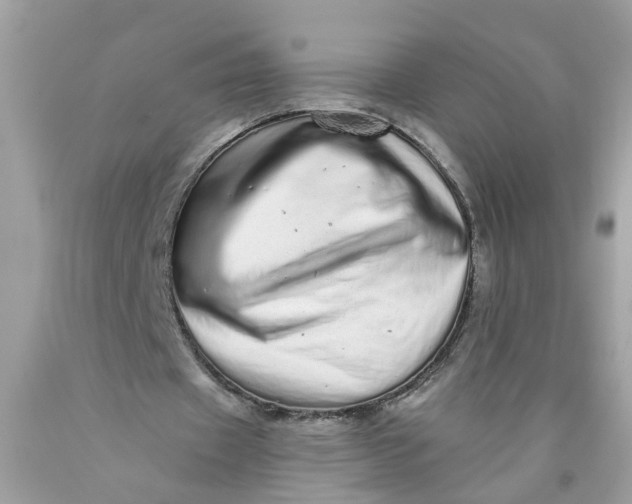 X0000089960433200707201952