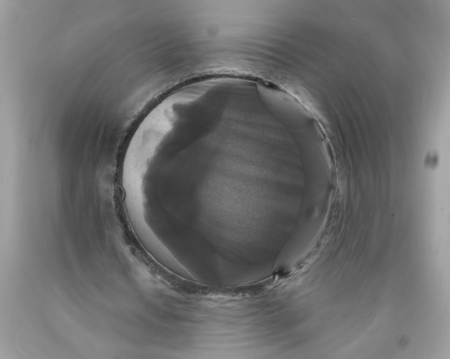 X0000089960434200707201952