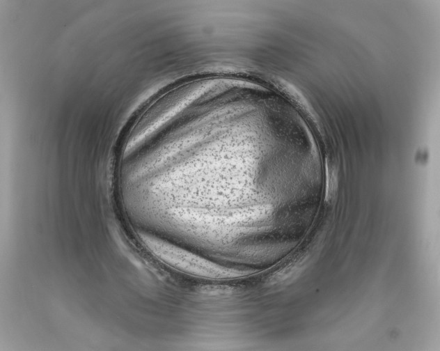 X0000089960435200707201952