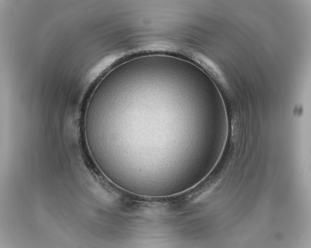 X0000089960436200707201952