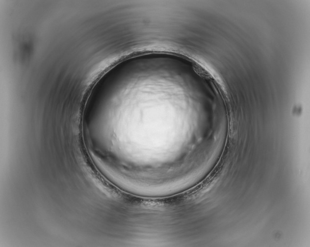 X0000089960437200707201952