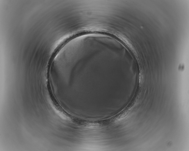 X0000089960438200707201952