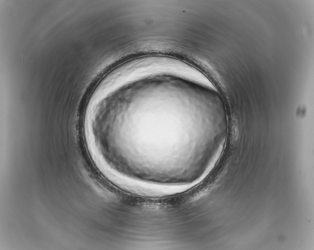 X0000089960439200707201952