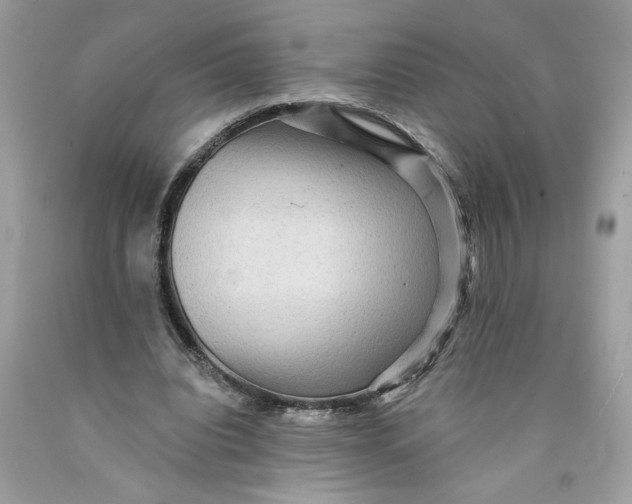 X0000089960440200707201952