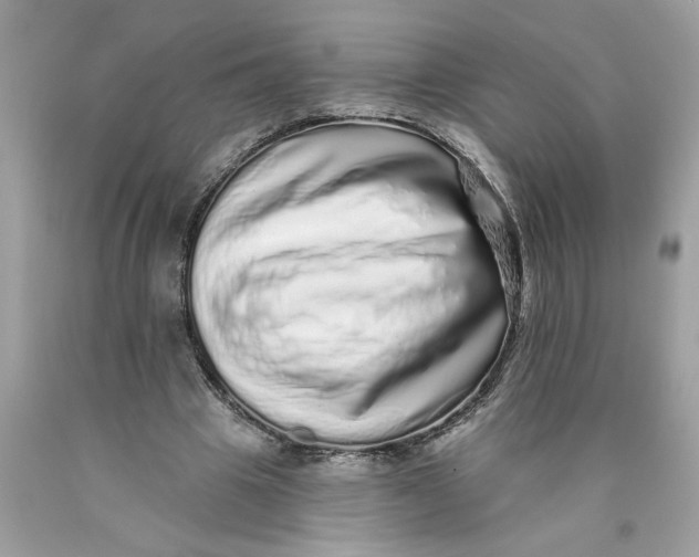 X0000089960441200707201952