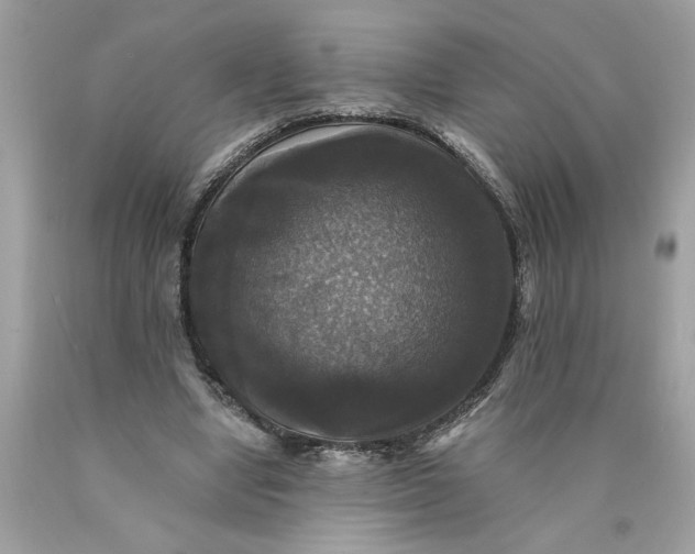 X0000089960442200707201952