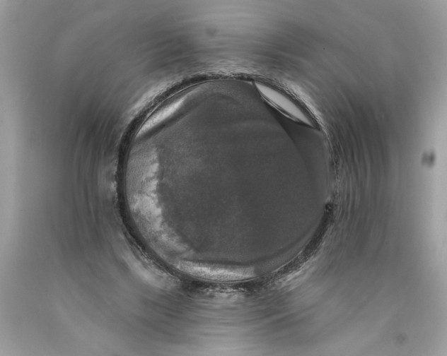 X0000089960443200707201952