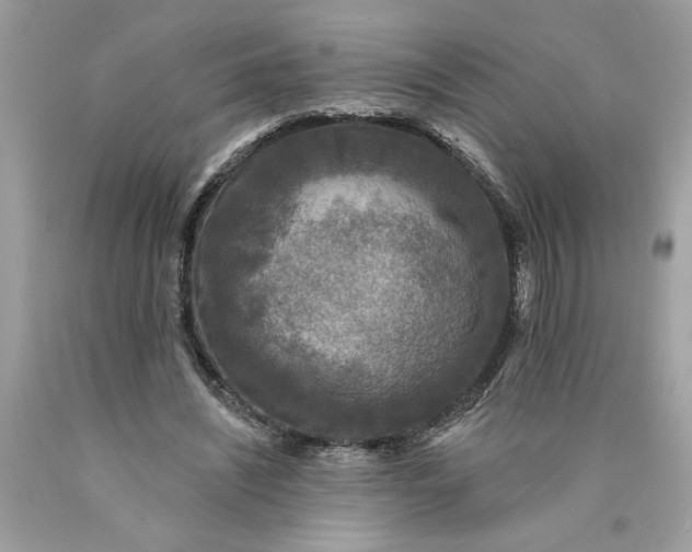 X0000089960444200707201952