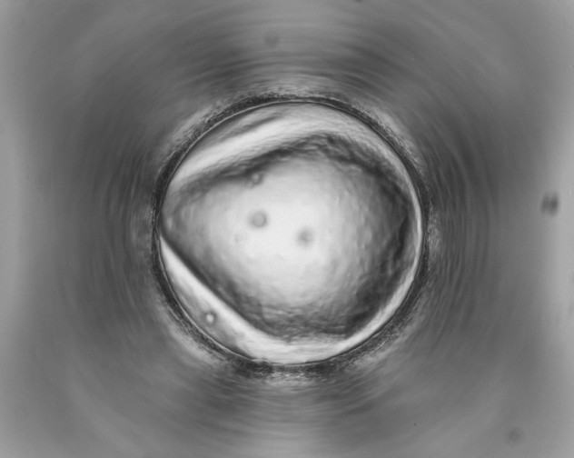 X0000089960445200707201952