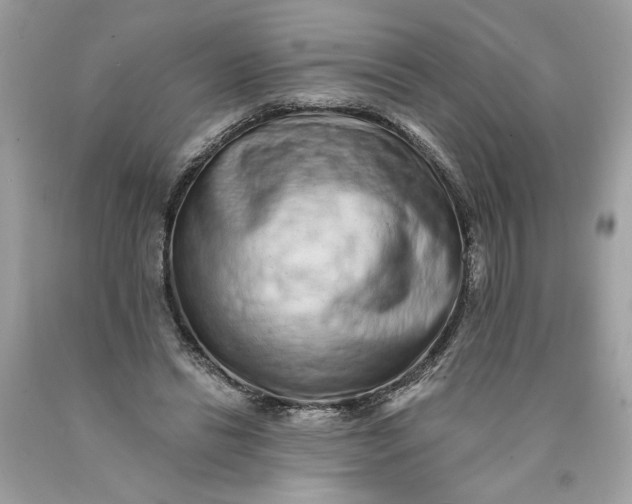 X0000089960446200707201952