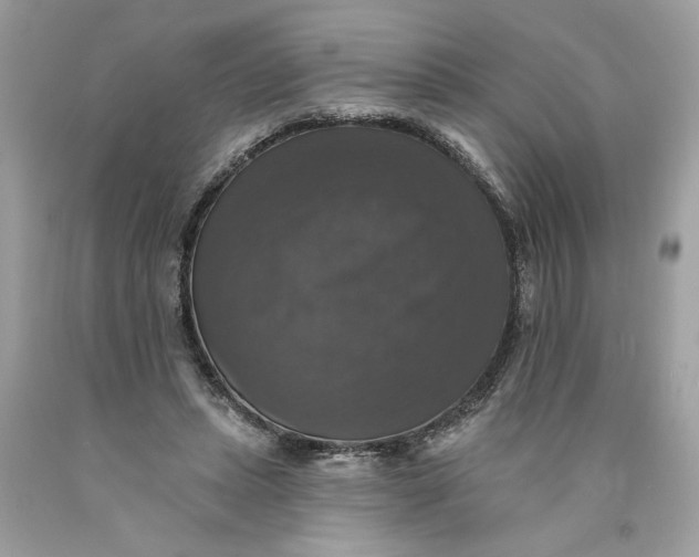 X0000089960447200707201952