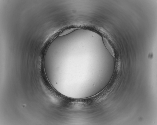 X0000089960448200707201952