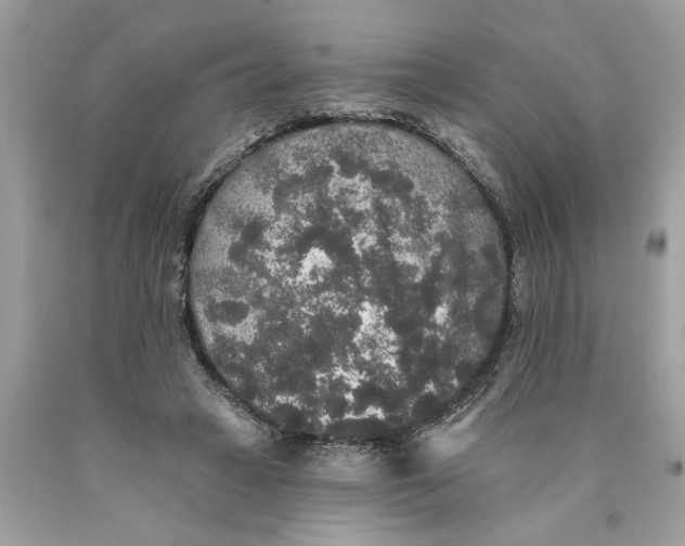 X0000089960449200707201952