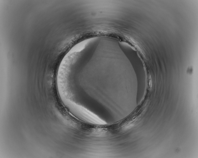 X0000089960451200707201952