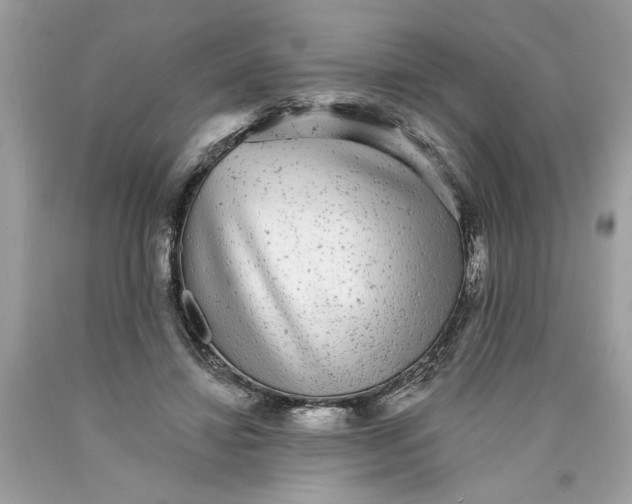 X0000089960452200707201952