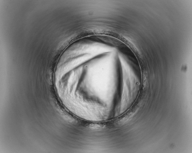 X0000089960453200707201952