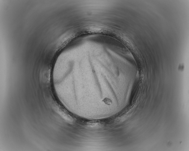 X0000089960454200707201952