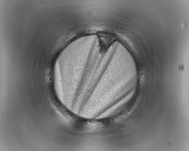 X0000089960455200707201952