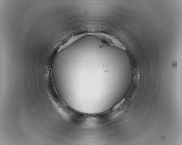 X0000089960456200707201952