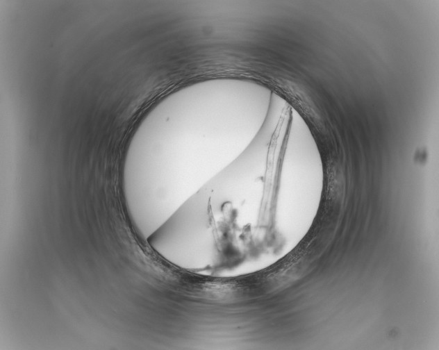 X0000089960457200707201952