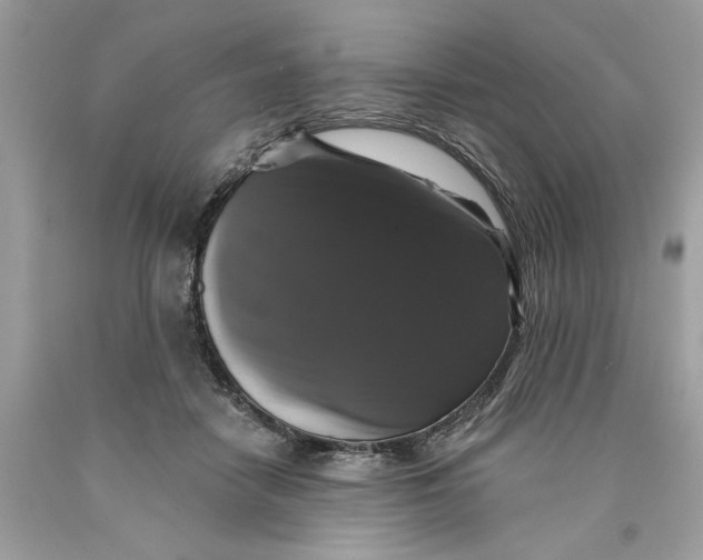 X0000089960458200707201952