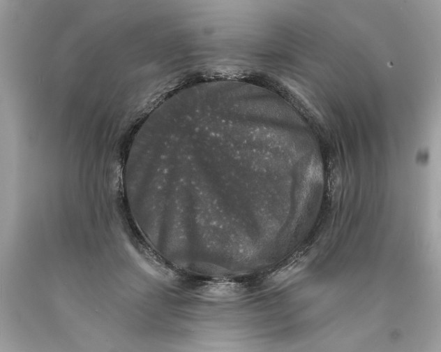 X0000089960459200707201952