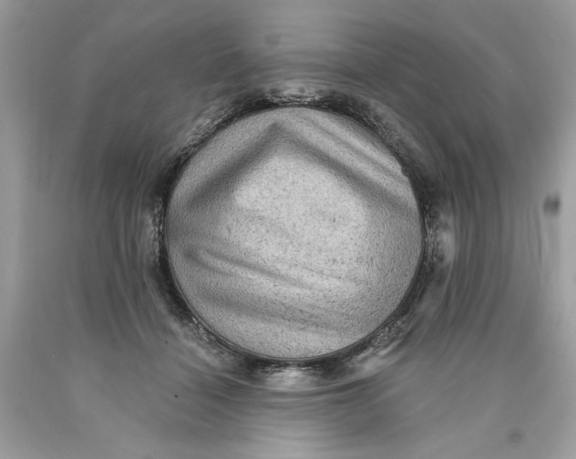 X0000089960460200707201952