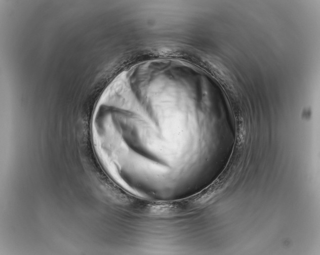 X0000089960461200707201952