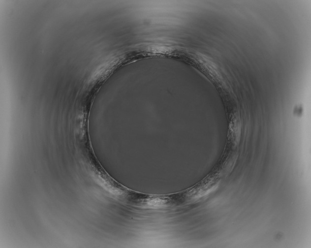 X0000089960462200707201952