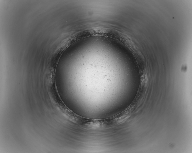 X0000089960464200707201952