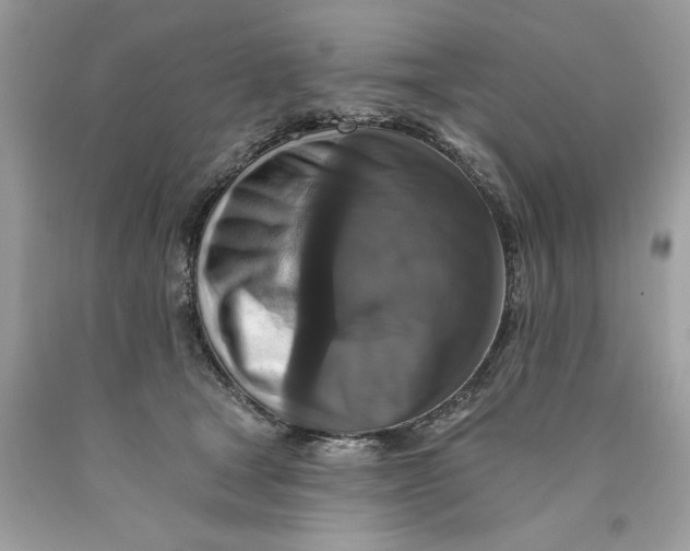 X0000089960465200707201953