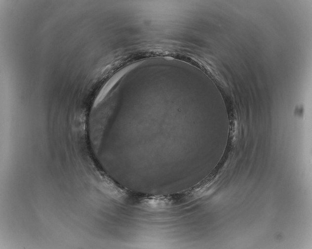 X0000089960466200707201953