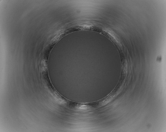 X0000089960467200707201953