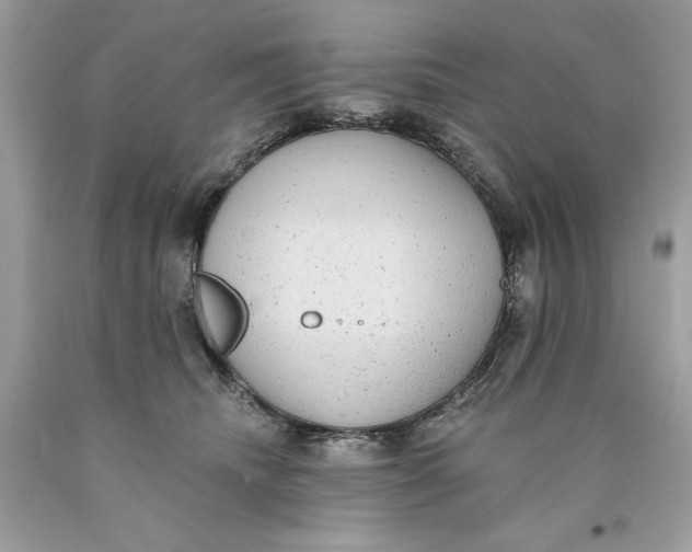 X0000089960468200707201953