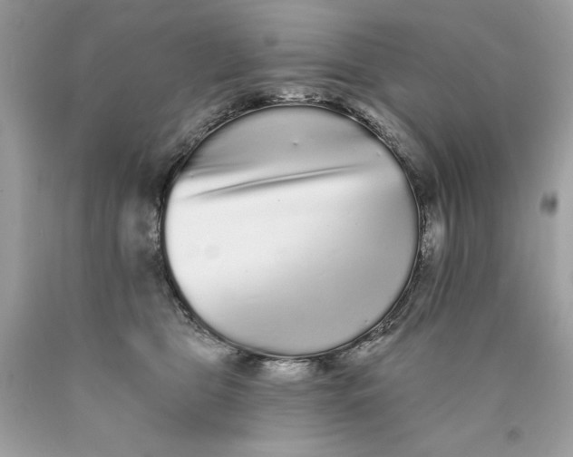 X0000089960469200707201953