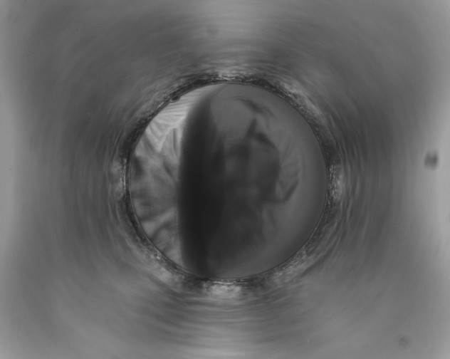 X0000089960471200707201953