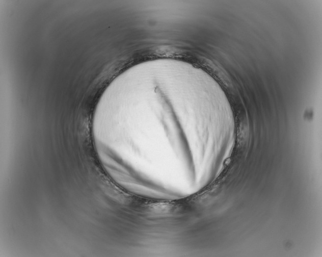 X0000089960473200707201953