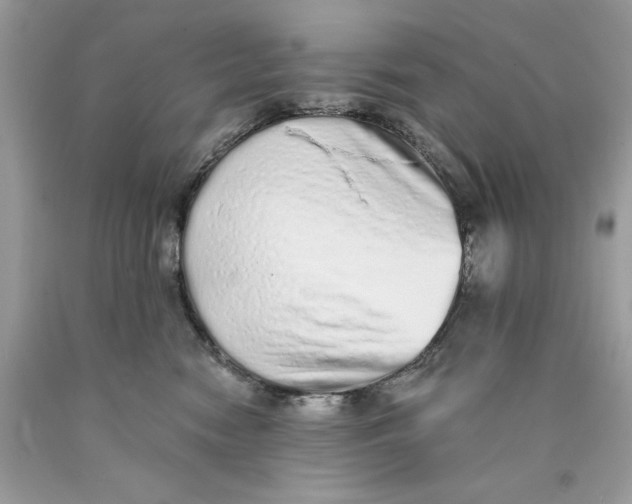 X0000089960474200707201953