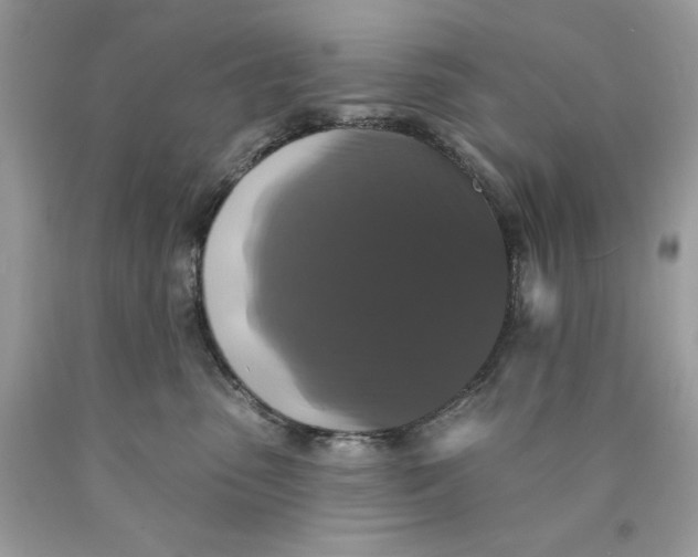 X0000089960475200707201953