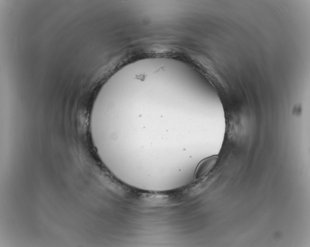 X0000089960476200707201953