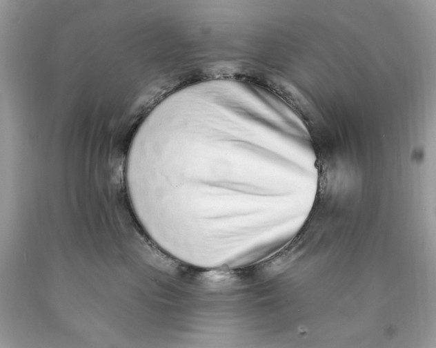 X0000089960477200707201953