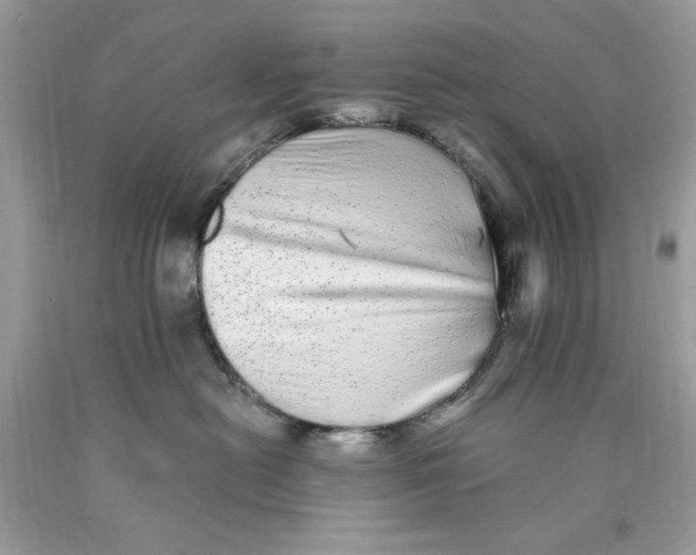 X0000089960478200707201953