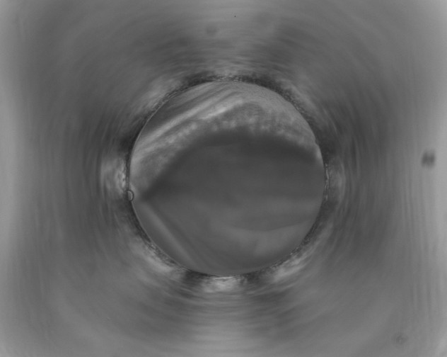 X0000089960479200707201953