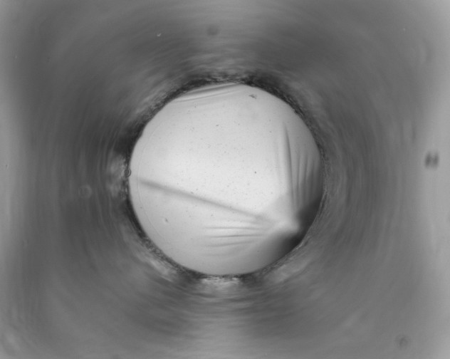 X0000089960480200707201953