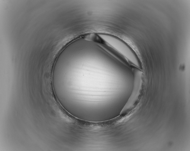 X0000089960481200707201952