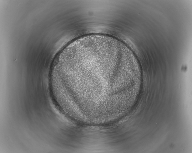 X0000089960482200707201952