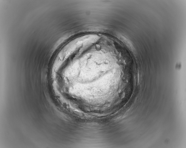 X0000089960483200707201952