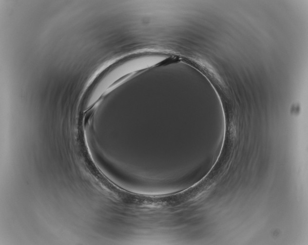 X0000089960484200707201952