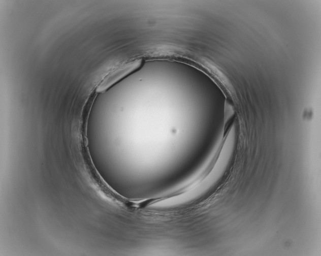 X0000089960485200707201952