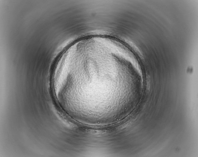 X0000089960486200707201952